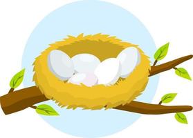 Nest and egg. Bird house. Place for Chicks. Tree branch with leaves. Cartoon flat illustration. element of nature and forests. Wildlife. vector