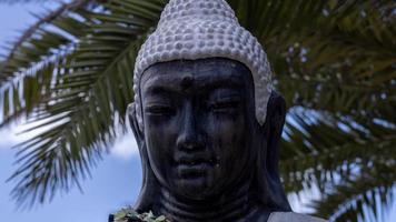 A buddha statue with palm trees behind video