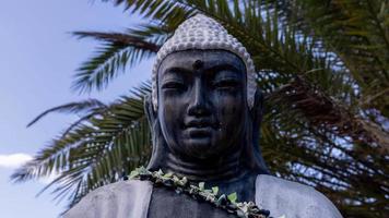 A buddha statue with palm trees behind video