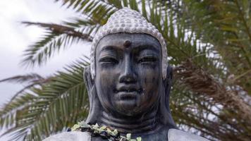 A buddha statue with palm trees behind video