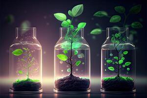 illustration of Science and biotechnology concept. Growing of plant in laboratory photo