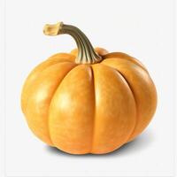 pumpkin isolated on white background. photo