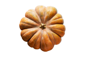 Orange pumpkin isolated on a transparent background png