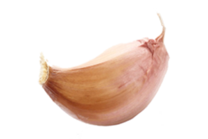 One garlic clove isolated on a transparent background png