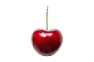 Red cherry isolated on a transparent background png