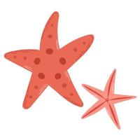 Two coral starfish isolated on white background. Modern flat cartoon style. vector