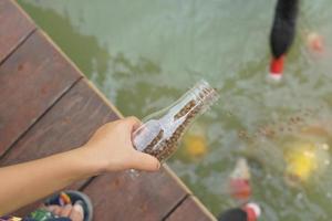 Child hand feeding the fish in the pond photo