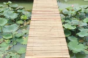 wooden floor walkway in pond photo
