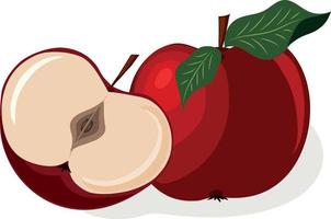 Apple. Sliced apple. Fruit. High quality vector illustration.