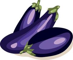 Vector image of an eggplant. Purple eggplant. Three eggplants. Ingredient