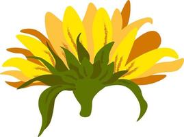 Sunflower vector individual element