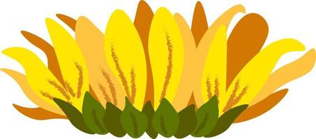 Sunflower individual element vector