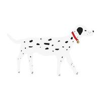 Cute dog with a dog collar bell vector in cartoon style. Dalmatian flat vector in color. Collection of cute pets.