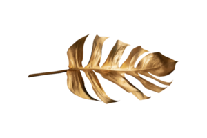 Gold leaf isolated on a transparent background png