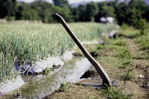 hoe at the edge of the garden along a small stream during the day photo