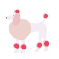 Cute dogs vector in cartoon style. Poodle flat vector in color. Collection of cute pets.