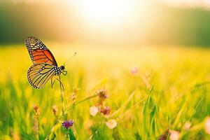 Natural summer with grass and a fluttering butterfly with . photo