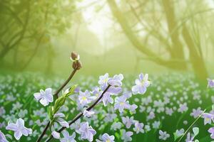 el primavera flor campo con ai generado. foto