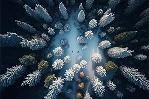 illustration of top down view of the forest in winter. Winter landscape in the forest. Flying over winter fir forest photo