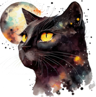 céleste noir chat aquarelle png