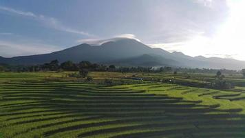 hermosa Mañana ver Indonesia. panorama paisaje arrozal campos con belleza color y cielo natural ligero video