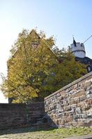 Autumn Tree at a Castle photo
