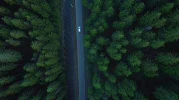 Aerial view of car riding on the road in the coniferous forest among the mountains video
