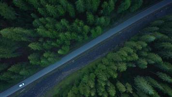 Aerial view of car riding on the road in the coniferous forest among the mountains video