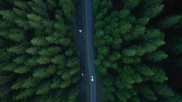 Aerial view of car riding on the road in the coniferous forest among the mountains video