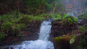 Picturesque mountain river close up video