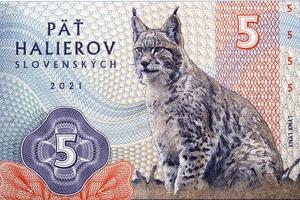 Lynx, a portrait from Slovak money photo