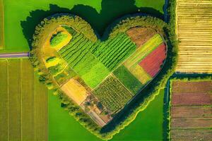 illustration of an aerial photo showcasing vast fields with a variety of crops growing on them, using the permaculture and poly culture principles, which are beneficial for the ecology