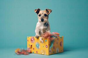 Cute dog looking out from gift box. Pet as present. photo