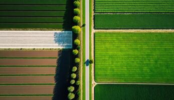 generativo ai, granja paisaje, agrícola campos, hermosa campo, país la carretera. naturaleza ilustración, fotorrealista parte superior ver zumbido, horizontal bandera. foto