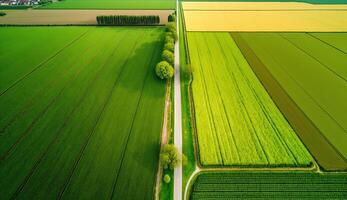 generativo ai, granja paisaje, agrícola campos, hermosa campo, país la carretera. naturaleza ilustración, fotorrealista parte superior ver zumbido, horizontal bandera. foto