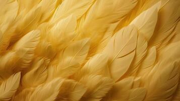 , Beautiful light yellow closeup feathers, photorealistic background. Small fluffy yellow feathers randomly scattered forming photo