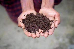 Hand holding compost with redworms. A farmer showing the worms in his hands at Chuadanga, Bangladesh. photo