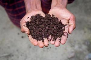 Hand holding compost with redworms. A farmer showing the worms in his hands at Chuadanga, Bangladesh. photo