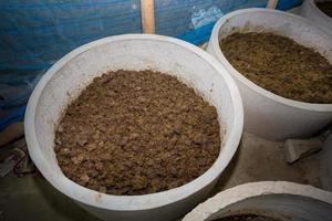 vermicompost es siendo fabricado en la zona en grande contenedores de cemento a chuadanga, bangladesh foto