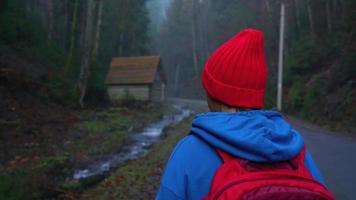 femme voyageur avec une sac à dos des promenades sur le route dans le montagnes le long de le rivière et admire le alentours paysage video