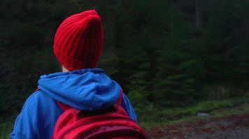 femme voyageur avec une sac à dos des promenades sur le route dans le montagnes le long de le rivière et admire le alentours paysage video