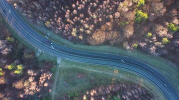 visie van de hoogte van de verkeer Aan de weg omringd door herfst Woud video