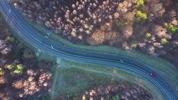 Visualizza a partire dal il altezza di il traffico su il strada circondato di autunno foresta video