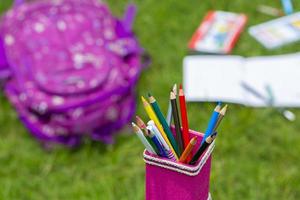 Banana Fiber-made pink pencil holder with multi-color pencils. Books, notebooks, school bags can be seen on out of focus in the grass. photo