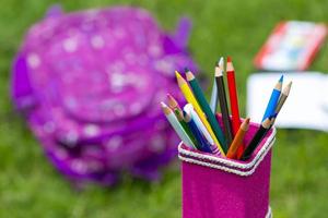 Banana Fiber-made pink pencil holder with multi-color pencils. Books, notebooks, school bags can be seen on out of focus in the grass. photo