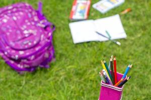 Banana Fiber-made pink pencil holder with multi-color pencils. Books, notebooks, school bags can be seen on out of focus in the grass. photo