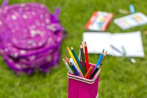 Banana Fiber-made pink pencil holder with multi-color pencils. Books, notebooks, school bags can be seen on out of focus in the grass. photo