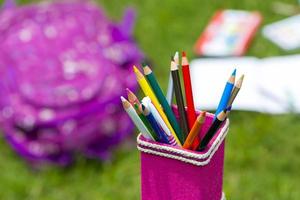 Banana Fiber-made pink pencil holder with multi-color pencils. Books, notebooks, school bags can be seen on out of focus in the grass. photo