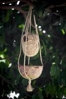Handmade birds nest are hanging on the branches of green trees. Interior Decoration Design. Nest made of fiber. photo