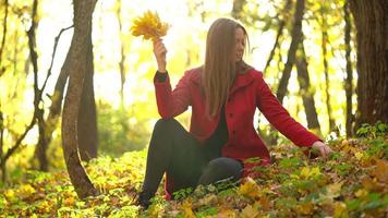 mooi meisje zit in de herfst Woud en verzamelt een boeket van geel esdoorn- bladeren video